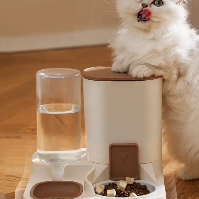 Automatic Gravity Cat Feeder & Water Dispenser | 2-in-1 Eco Pet Station